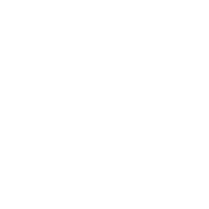 smart house icon